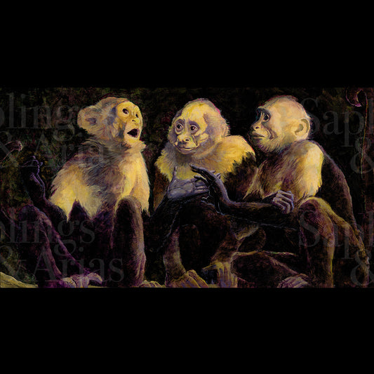 Capuchins