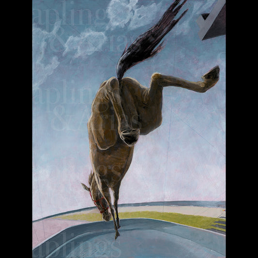Diving Horse